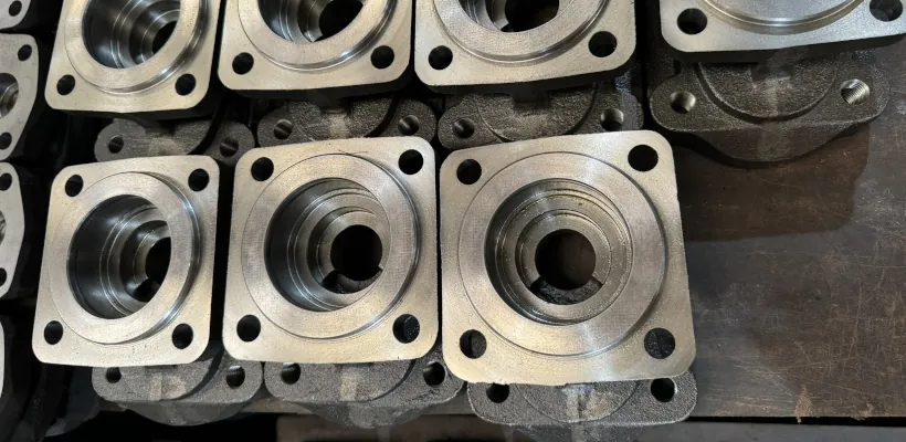 Gear Pumps